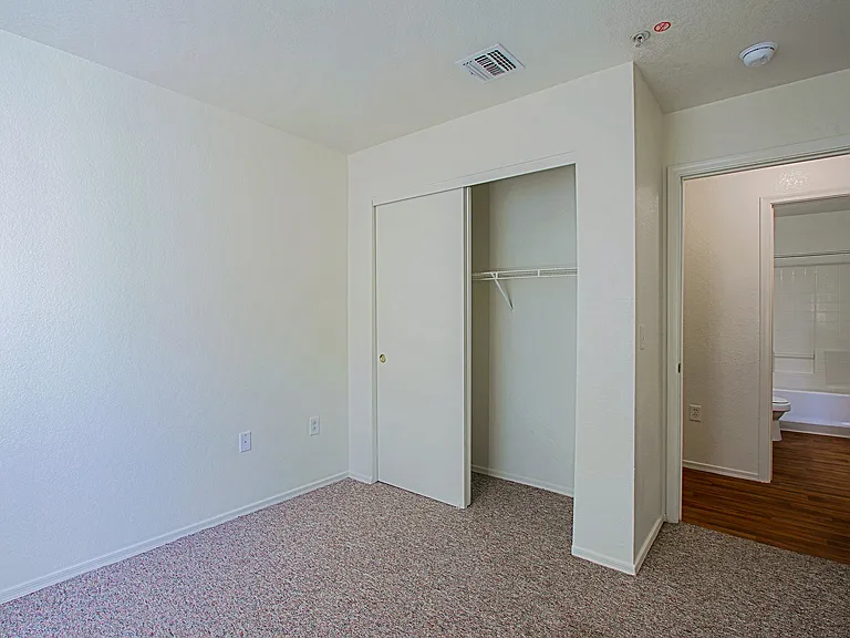 Terracina Apartments — Photo 11
