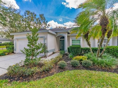 10420 Mulligan Ct, Tampa, FL, 33647