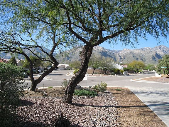 View from front yard.