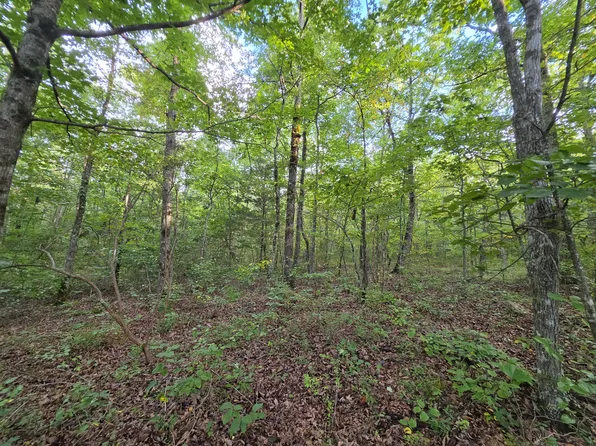 18 Meyers Rd Lot 18, Altamont, TN 37301