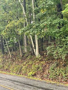 0 Nace Rd #0, Troutville, VA, 24175