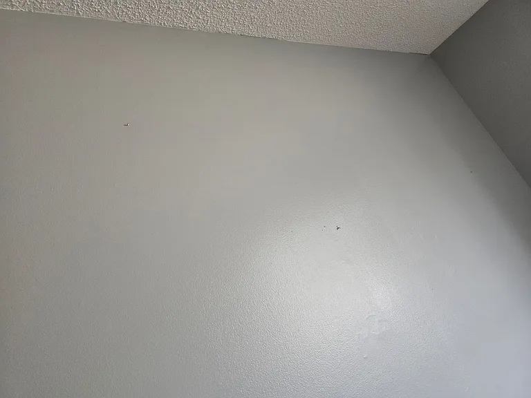 6226 Normandy Dr — Photo 22