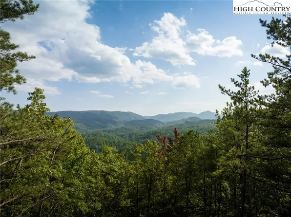 1318 Roundleaf Lane, Ferguson, NC 28624