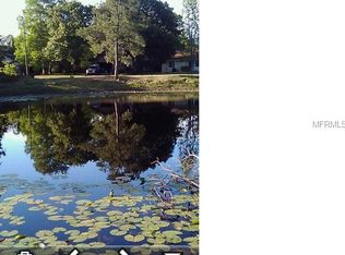 11 Wood St, Oviedo, FL 32765