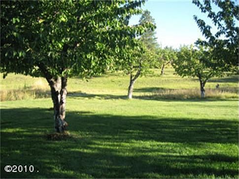 5th image of 22656 Northaire Ln