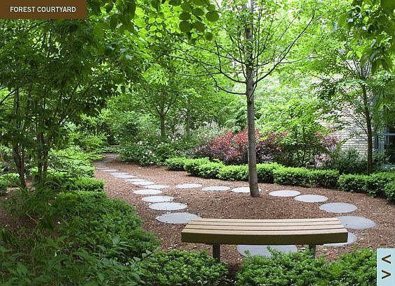 Peaceful, Scenic Forest Courtyard!