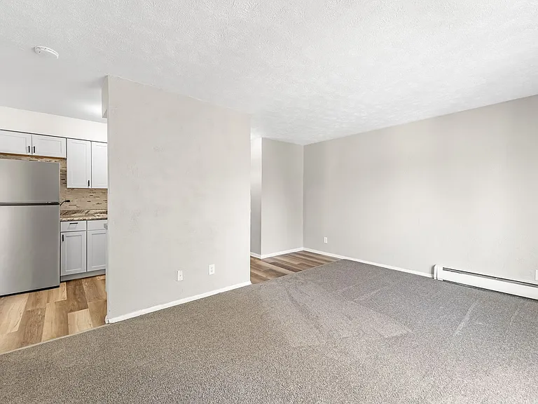 Living Room and Kitchen