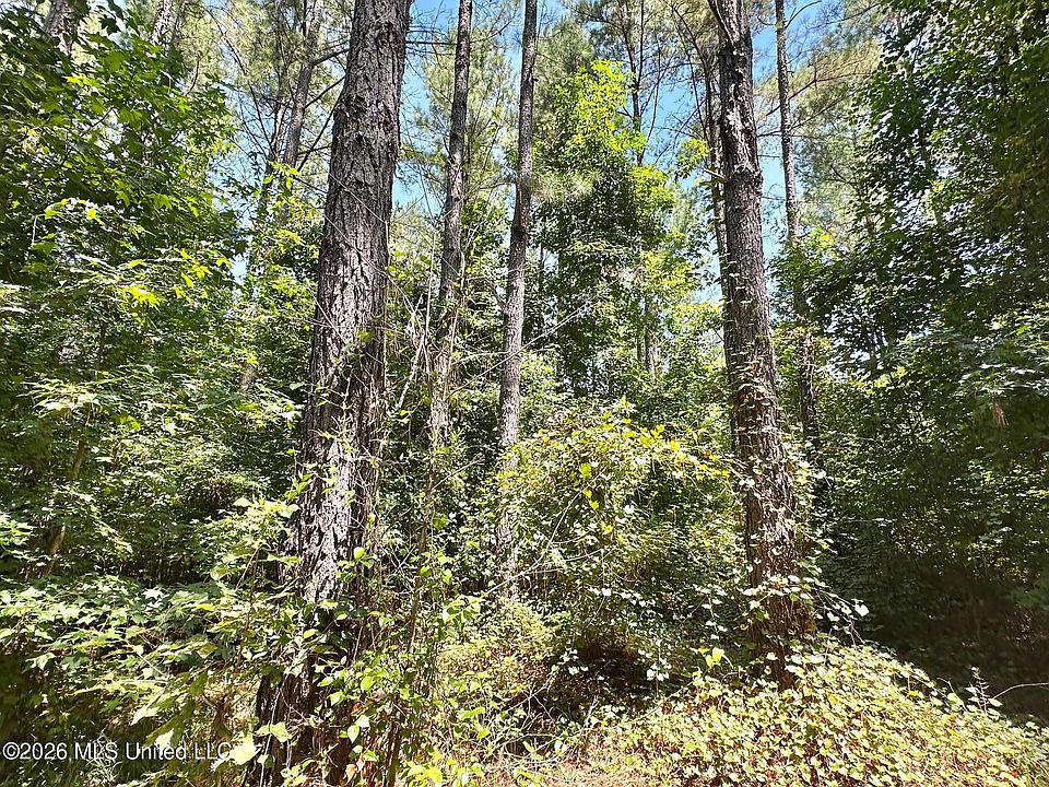 1st image of 5 County Road 24