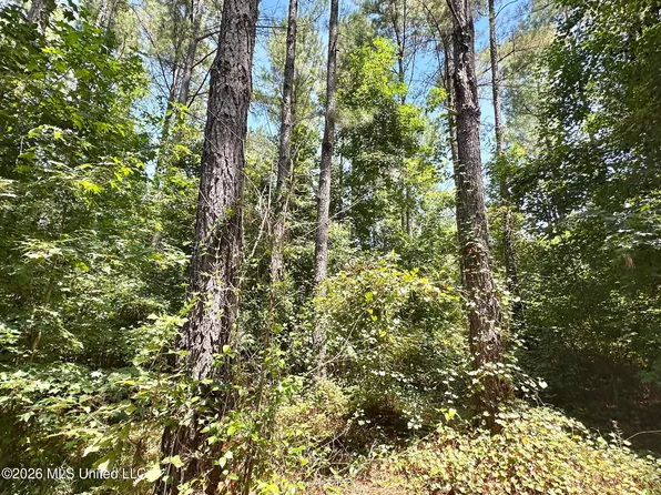 5 County Road 24, Enterprise, MS 39330