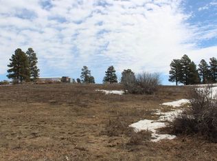 161 Badger Rd, Pagosa Springs, CO 81147