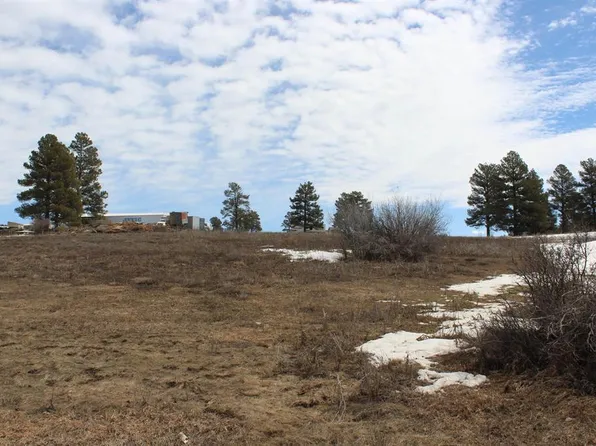 161 Badger Road, Pagosa Springs, CO 81147