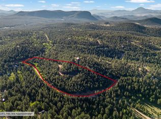 157 Saddle Horn Ln, Bailey, CO 80421
