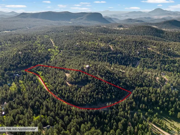 157 Saddle Horn Lane, Bailey, CO 80421