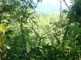 Lot #61-section E-lake Adger Parkway, Mill Spring, NC 28756