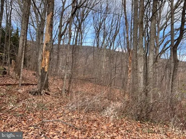 Gilmore Trl Lot 64, Winchester, VA 22602