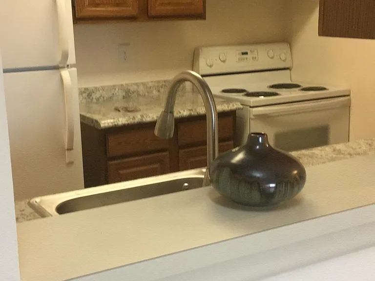 2313 Ravens Crest Dr — Photo 10