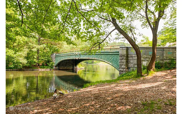 Rented by Douglas Elliman | media 18