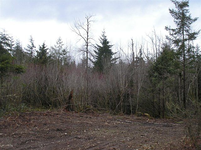 2nd image of 2112 140th Ave SW