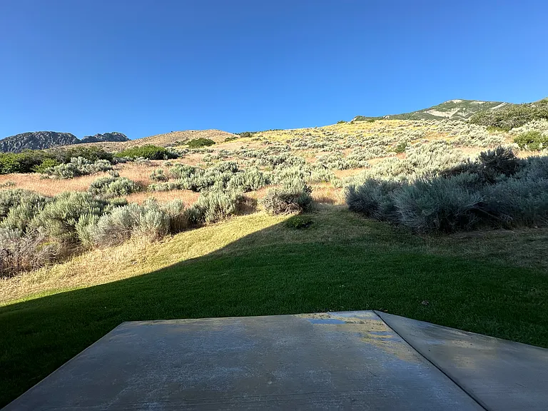 Backyard view