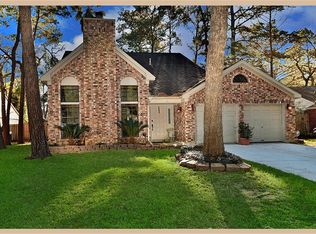 11 Raindream Pl, Spring, TX 77381