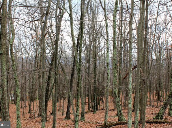 39 Berenger Dr, Petersburg, WV 26847
