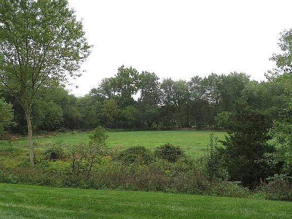 View behind the house