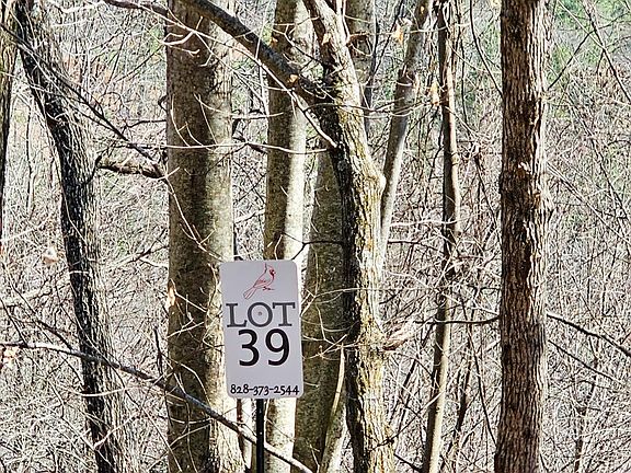 5th image of LOT 39 Merlin Trail Warbler Rd