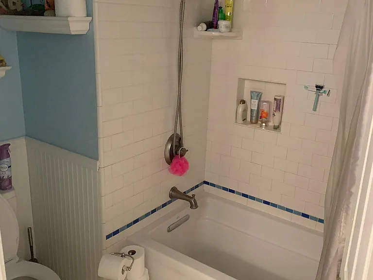 kid/guest bath - toilet and tub.