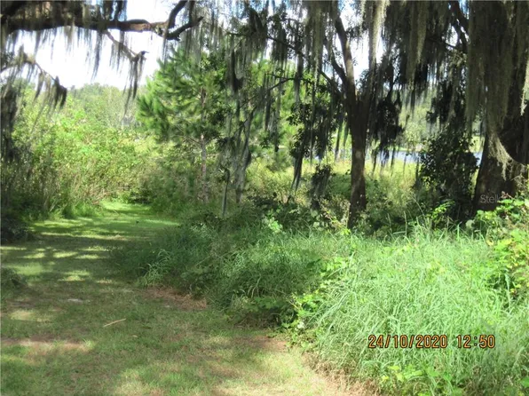 168 Lakeview St, Umatilla, FL 32784