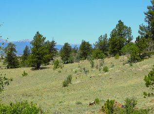 4875 Anadarko Rd, Hartsel, CO 80449