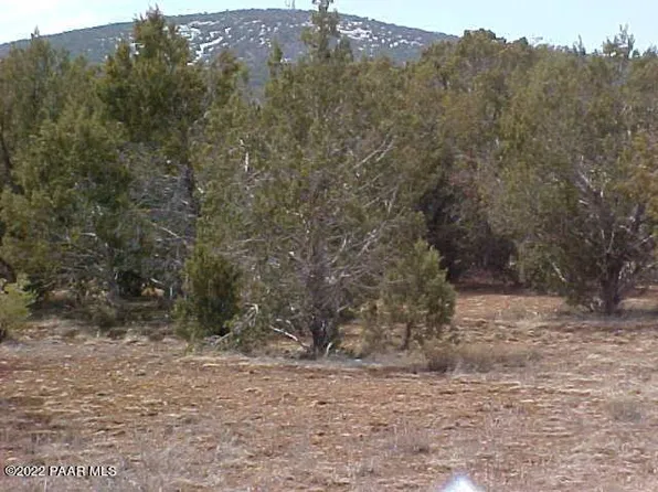 485 Juniper Wood, Ash Fork, AZ 86320