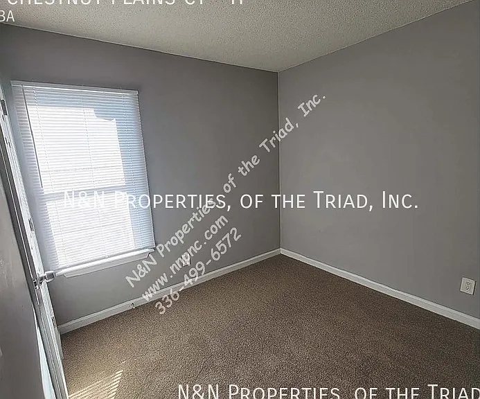 1396 Chestnut Plains Ct #H — Photo 8