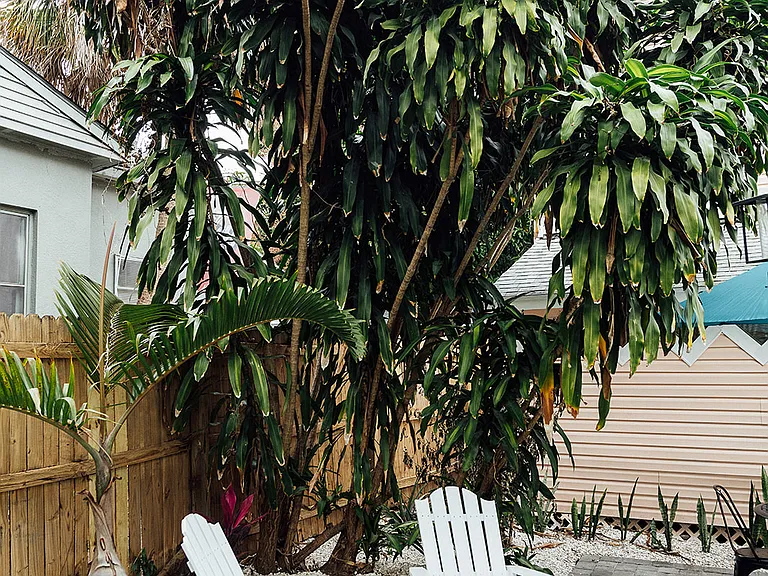 809 10th Ave N #1 — Photo 31