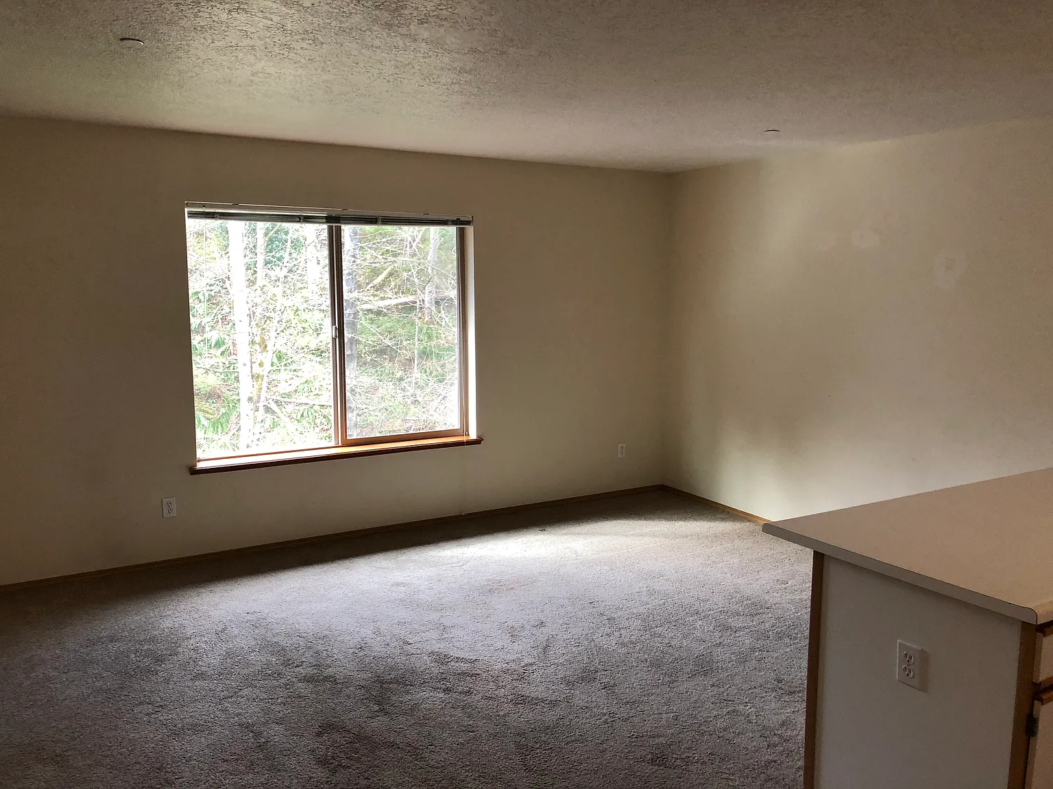 Gresham 6 Plex — Photo 4