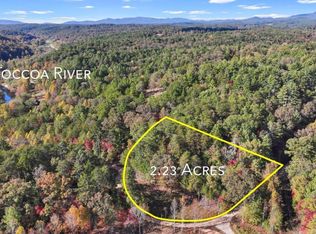 2.23 Bear Walk Rd, Mineral Bluff, GA 30559