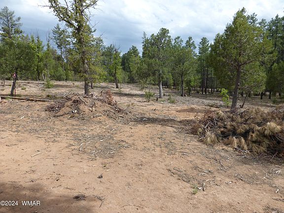 5th image of 3598 Pine Needle Dr