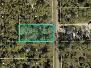 917 Fitch Ave, Lehigh Acres, FL 33972