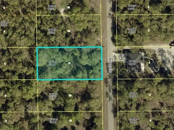 917 Fitch Ave, Lehigh Acres, FL 33972