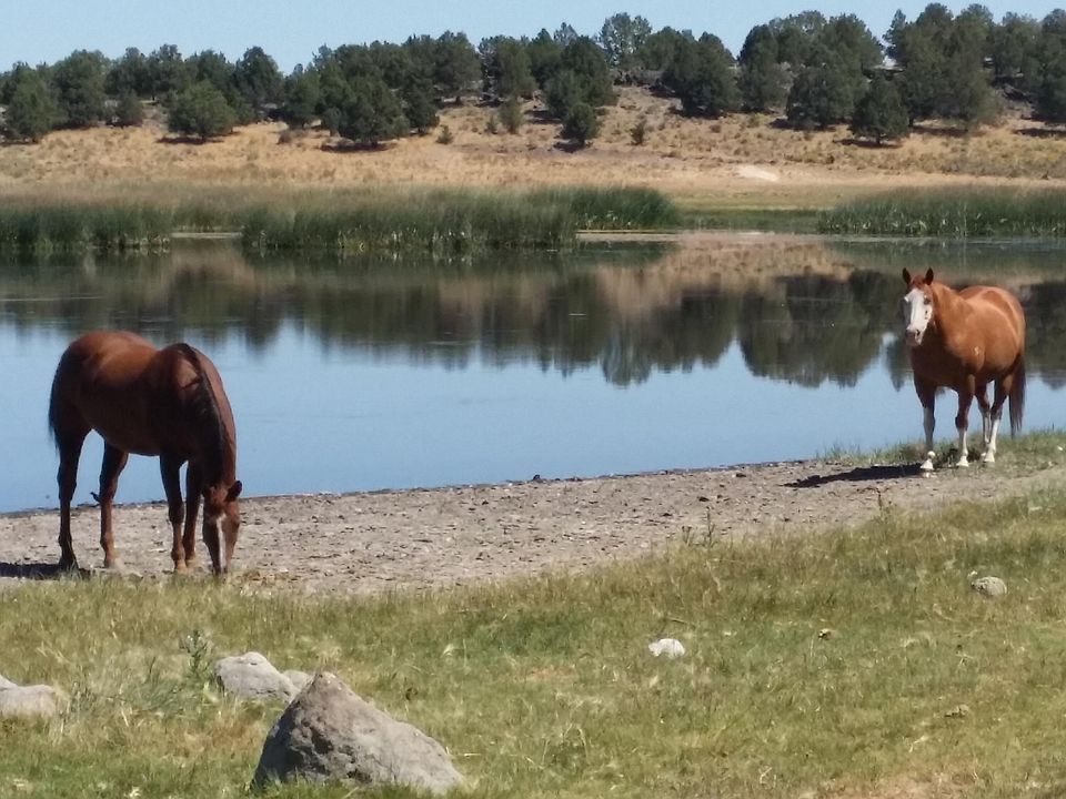 1st image of 0 Sprague River Rd