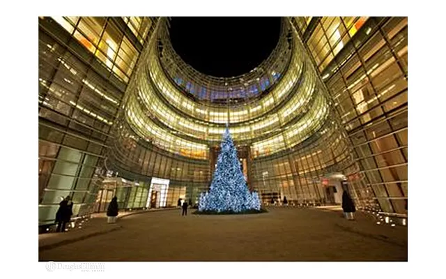 Rented by Douglas Elliman | media 29