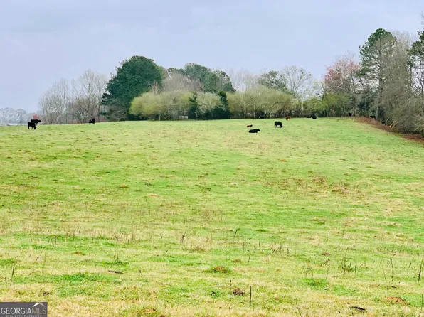 3191 W 5th Hwy, Bowdon, GA 30108