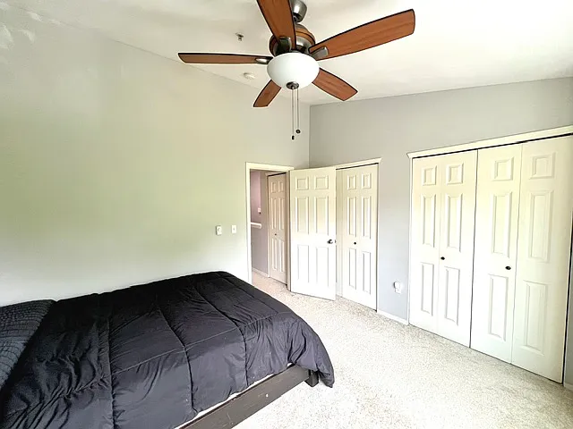 Functional ceiling fans