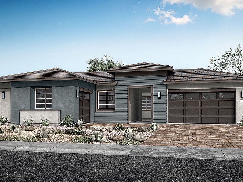 Cholla Rendering