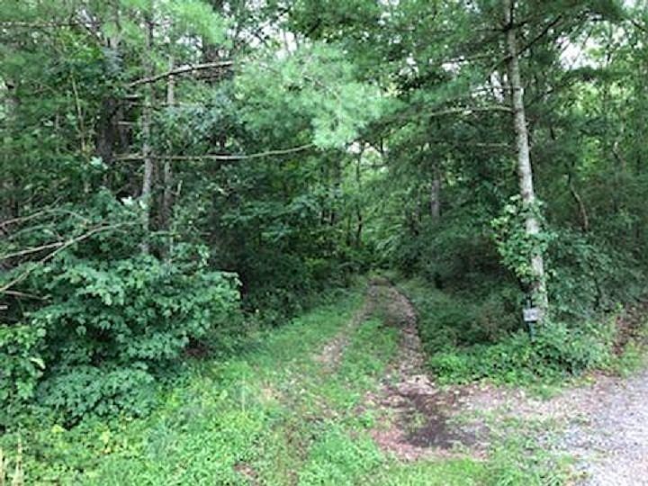 2nd image of 16 Tree Lodge Farm Ln
