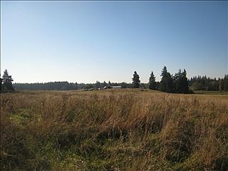 2nd image of 12603 Rollinghills Ln SE