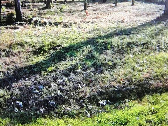 2nd image of 408 County Road 3414