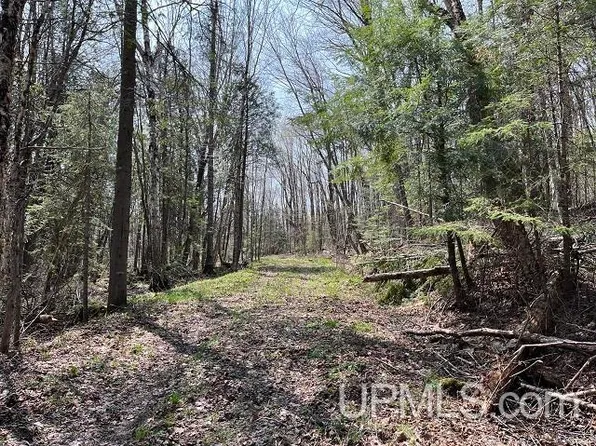 Little Lake Rd, Gwinn, MI 49841