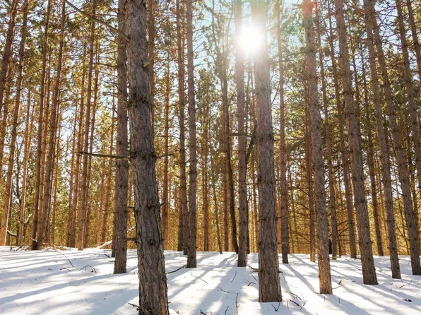 4811 Truax Lake Rd #10, Williamsburg, MI 49690