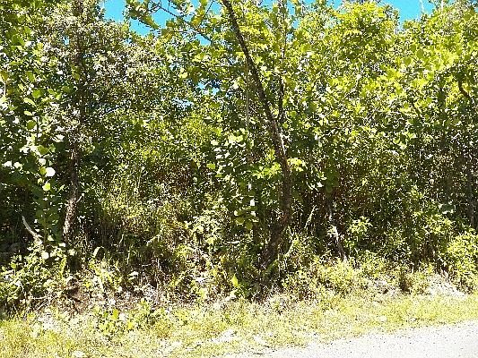 1st image of 1st Ave Lot 2924