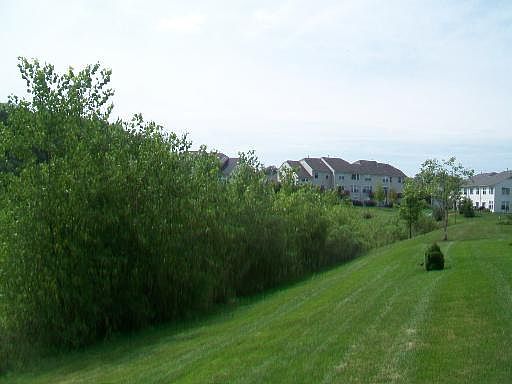 4th image of 535 Terra Springs Cir #535